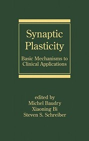 Synaptic Plasticity: Basic Mechanisms To Clinical Applications (Neurological Disease And Therapy)