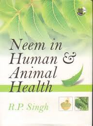 Modern Vegetable Varieties and Production Technology