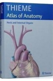 Thieme Atlas Of Anatomy Neck & Internal Organs
