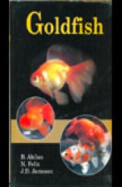 Goldfish