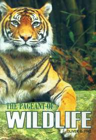 Pageant Of Wildlife