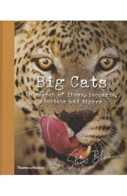 Big Cats: In Search of Lions, Leopards, Cheetahs, and Tigers