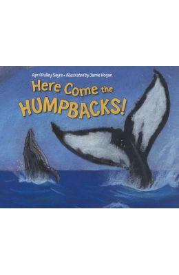 Here Come the Humpbacks!