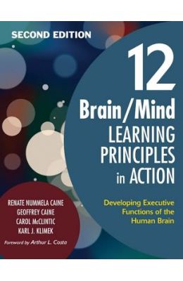 Buy 12 Brain/Mind Learning Principles In Action: Developing Executive ...