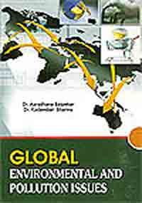 Global Environmental And Pollution Issues