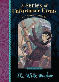 Series Of Unfortunate Events Book 3 : Wide Window