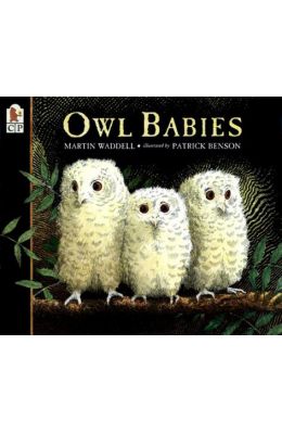 Owl Babies