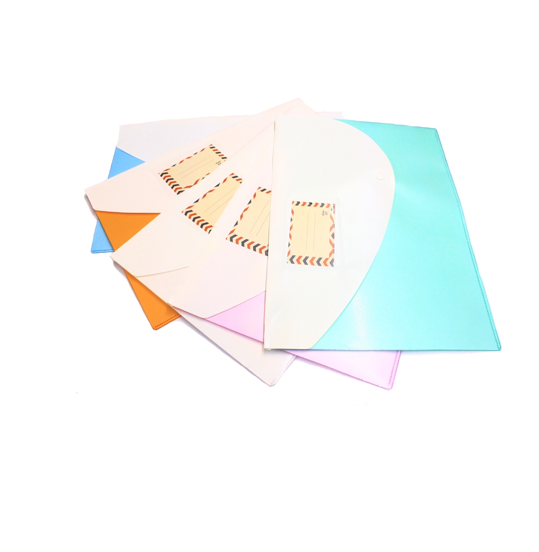 Store67 Document Folder With Button and Double Pocket