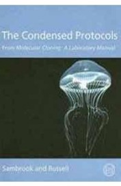 Buy Condensed Protocols From Molecular Cloning A Laboratory Manual book ...