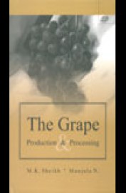 Grape Production & Processing