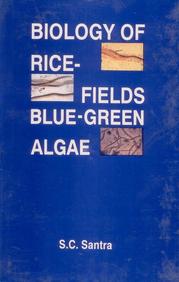 Biology of Rice Fields: Blue Green Algae