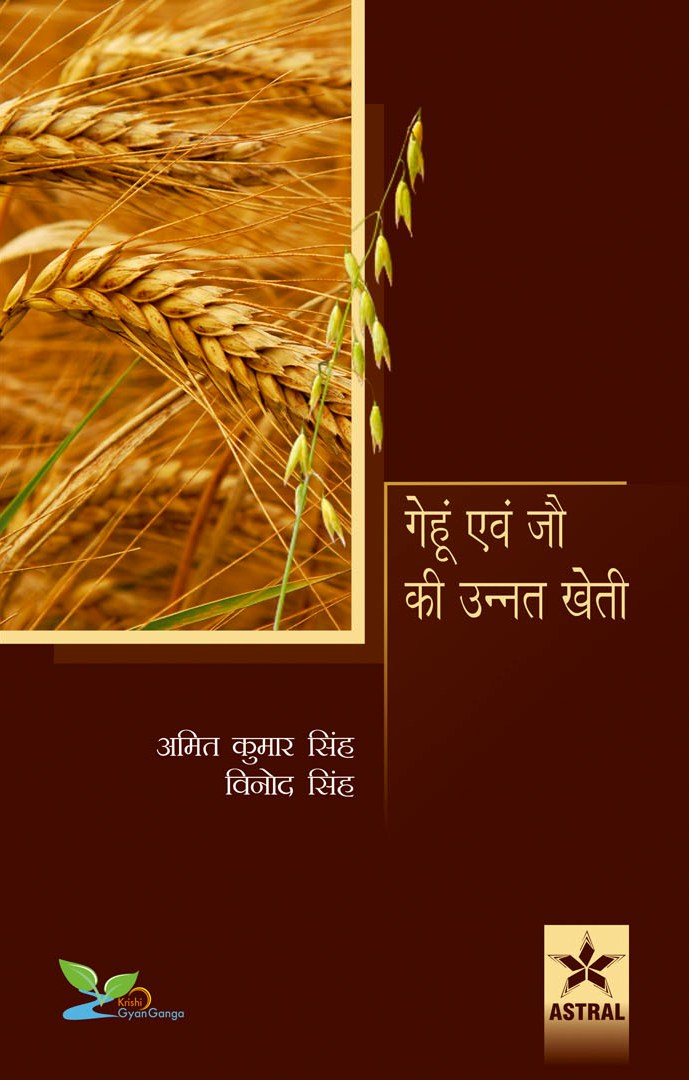 Gehun evan Jou ki Unnat Kheti