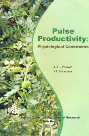 Pulse Productivity : Physiological Constraints