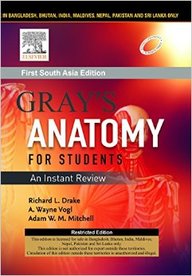 Buy Grays Anatomy For Students An Instant Review book : Richard L Drake ...