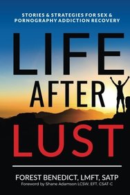 Buy Life After Lust: Stories & Strategies for Sex & Pornography ...