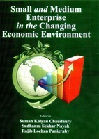 Small and Medium Enterprise in the Changing Economic Environment