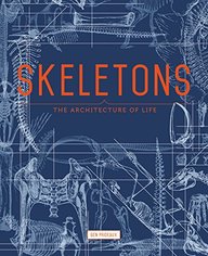Skeletons: The Architecture of Life