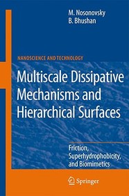 Multiscale Dissipative Mechanisms And Hierarchical Surfaces: Friction, Superhydrophobicity, And Biomimetics (Nanoscience And Tec