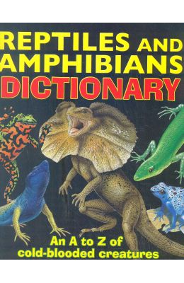 Reptiles a to z Types of