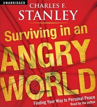 Surviving In An Angry World: Finding Your Way To Personal Peace