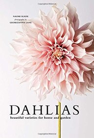 Dahlias: Beautiful Varieties for Home and Garden