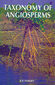 Taxonomy Of Angiospeems