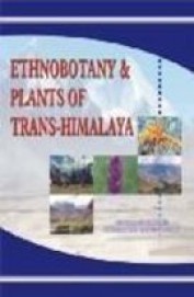Ethnobotany & Plants Of Trans Himalaya