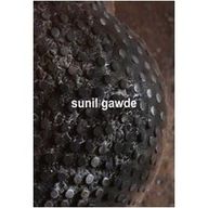 Sunil Gawade