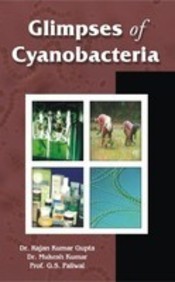 Glimpses Of Cyanobacteria