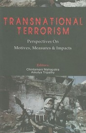 Transnational Terrorism Perspectives On Motives Measures & Impacts