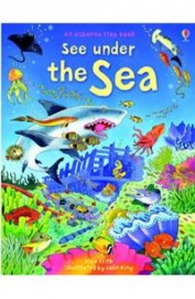 Usborne Flap Book See Under The Sea
