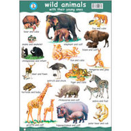 Buy Wild Animals With Their Young Ones : Apple Educational Chart book : Na  , 8179042413, 9788179042410  India