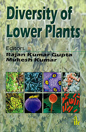 Diversity Of Lower Plants