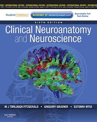 Clinical Neuroanatomy and Neuroscience: With STUDENT CONSULT Access, IE 6