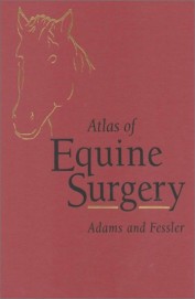 Atlas Of Equine Surgery