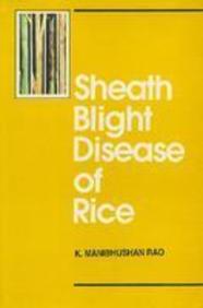 Sheath Blight Disease Of Rice