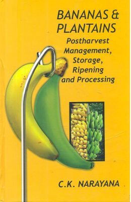 Bananas & Plantains: Post Harvest Management Storage Ripening & Processing
