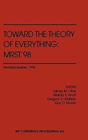 Toward The Theory Of Everything: Mrst'98 (Aip Conference Proceedings / High Energy Physics)