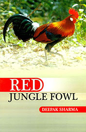 Red Jungle Fowl