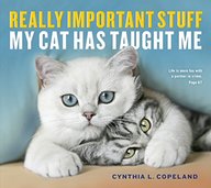 Really Important Stuff My Cat Has Taught Me