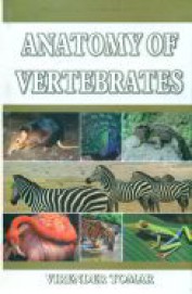 Anatomy Of Vertebrates