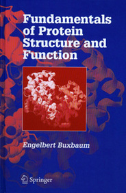 Fundamentals Of Protein Structure & Function