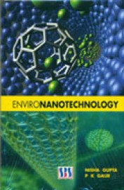 Environanotechnology