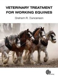 Veterinary Treatment For Working Equines