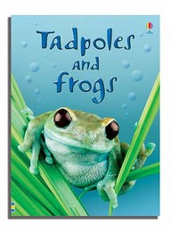 Tadpoles & Frogs : Usborne Beginners