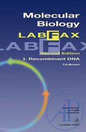 Molecular Biology Labfax 1 : Recombinant Dna
