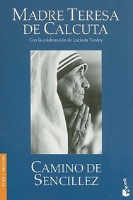 Buy Camino De Sencillez (divulgacion Etica Y Religion) (spanish Edition 