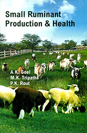 Small Ruminant Production & Health
