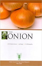 Onion