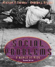 Social Problems: A World at Risk (2nd Edition)